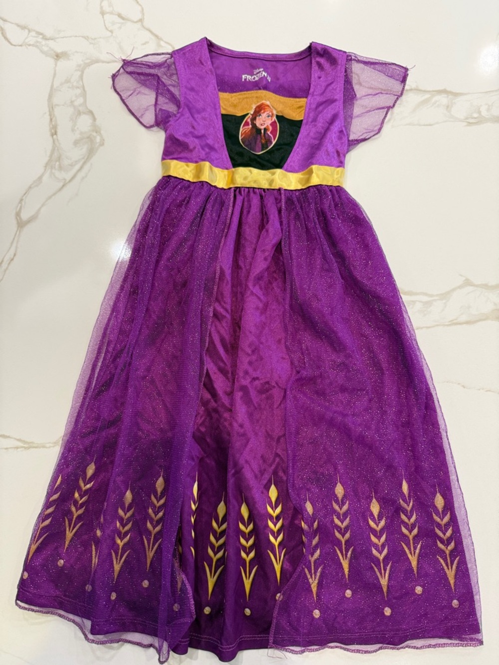 Disney Purple and Gold Anna Inspired Girls' Costume Dress